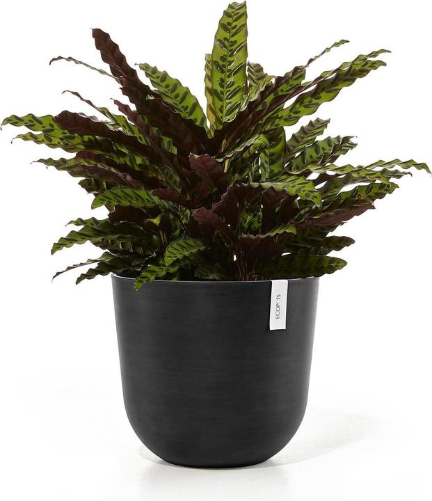 Actual product image Ecopots Oslo (35 cm)