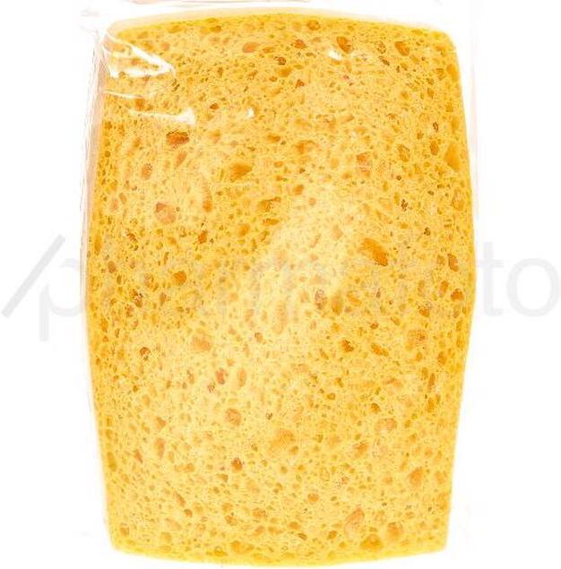 Actual product image Spontex Sponge (1 pcs.)