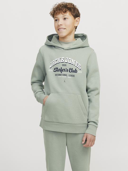 Actual product image Jack & Jones JJELOGO SWEAT HOOD 2 COL 24/25 NOOS JNR (164)