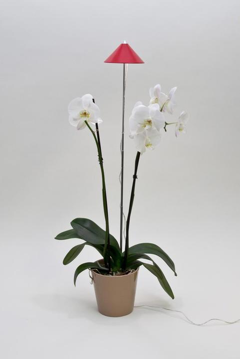 Produktbild Colibri Sunlite (LED, 230 V)