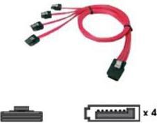 Actual product image Chenbro Mini SAS 36pin-to-SATA