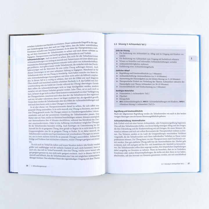 Produktbild Suchtkranke Eltern (Deutsch, Anne Koopmann, Yvonne Krisam, 2024)