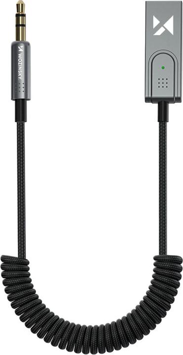 Wozinsky Wtodb (Receiver)