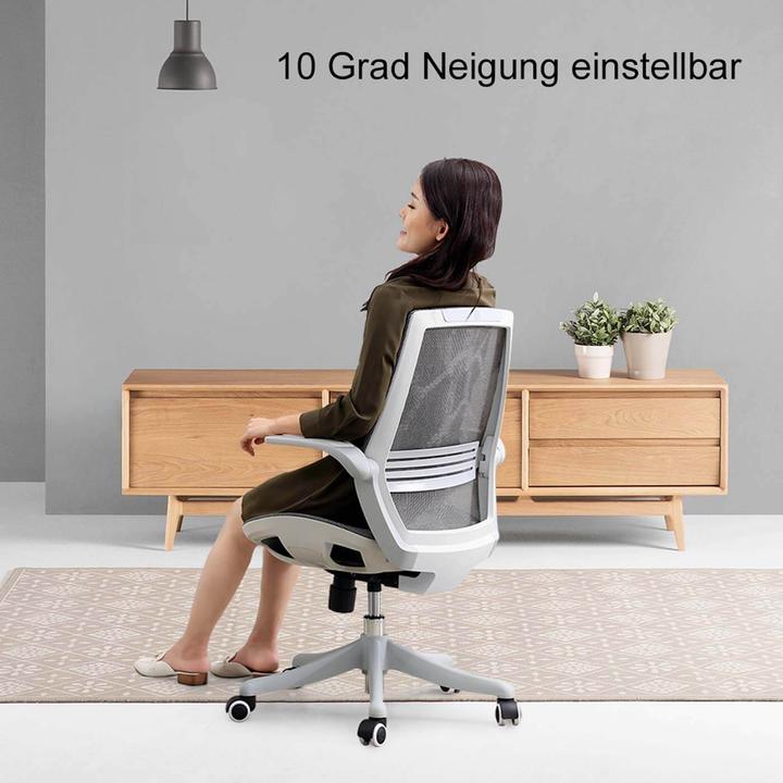 Image du produit Sihoo Chaise de bureau avec soutien lombaire
