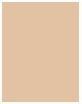 Actual product image Wet n Wild ML Incognito All Day Conceal 1114048E (Medium Honey)