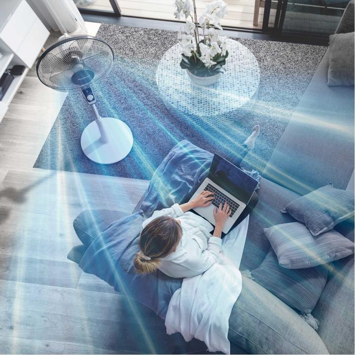 Actual product image Rowenta Turbo Silence (45 dB)