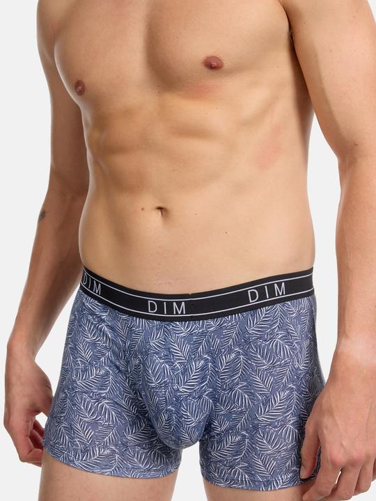DIM Boxer Fancy