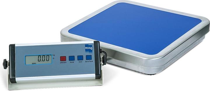 Pesola Bilancia a piattaforma multiuso, 30 kg, con interfaccia RS-232