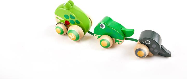 Hape Famiglia delle rane tracotanti