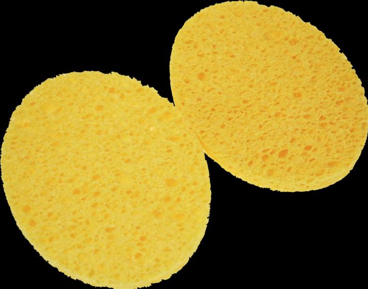 Reinigungsschwämmchen, 2-er Pack, oval, Masse: 11,5 x 9 cm