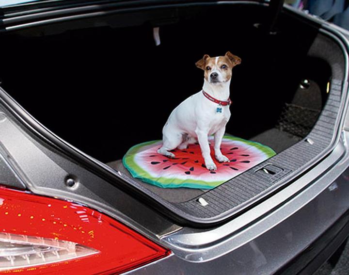 Actual product image Starlyf Pet Cooling Mat (Dog)