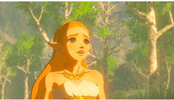 Image du produit Nintendo The Legend Of Zelda : Breath Of The Wild (en anglais) (Switch, Multilingue)