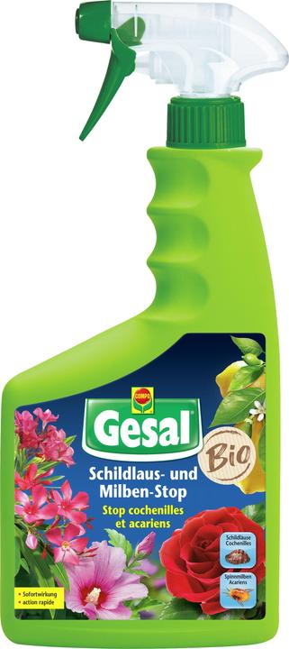 Gesal Stop cochenilles et acariens liq (Schildläuse, Spinnmilben)