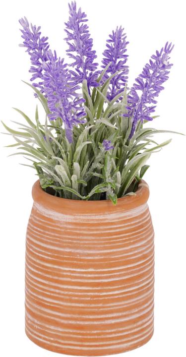 Kave Home Lavanda (22 cm)