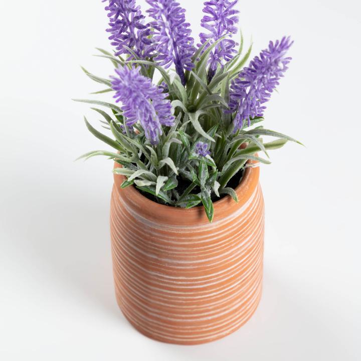 Image du produit Kave Home Lavanda (22 cm)