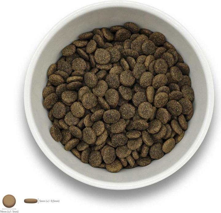 Image du produit Sollis Nourriture sèche pour chien Boeuf Angus 12kg (Adulte, 1 pcs, 12000 g)
