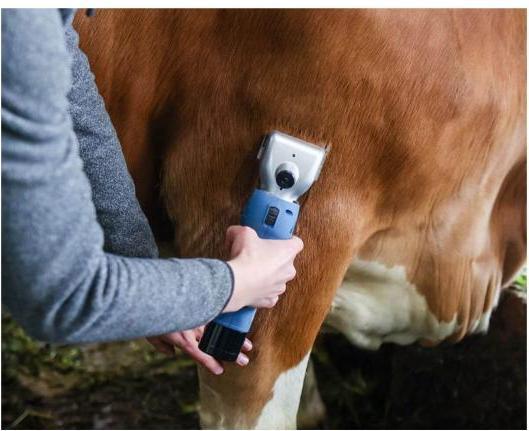 Actual product image Kerbl FarmClipper Akku2 Shearing machine cattle (Dog)