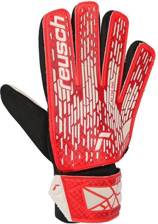 Actual product image Reusch Attrakt Starter Solid Jr Torwarthandschuhe (7)