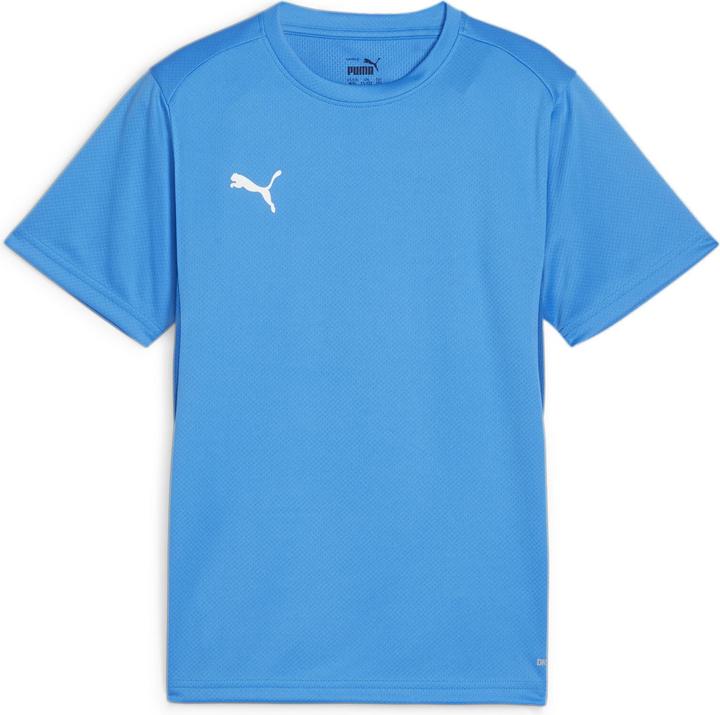 Puma teamGOAL Jersey Jr