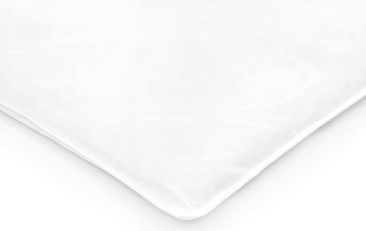 Actual product image Julius Zöllner Quilt, feather/down (400 g, 80 x 80 cm)