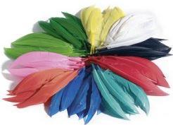Immagine prodotto Folia Piume indiane, 10 g, colori assortiti