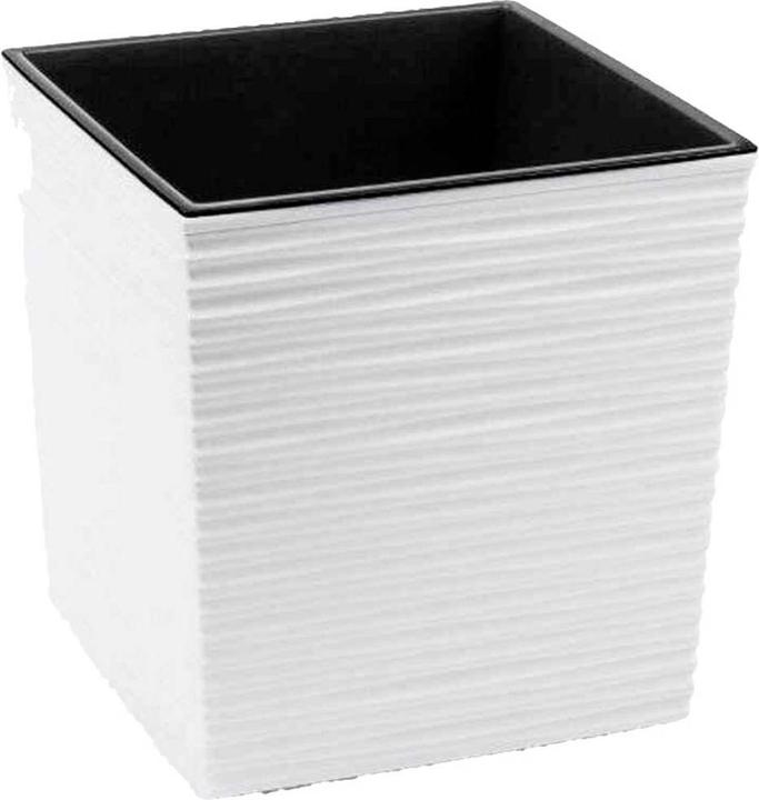 Immagine prodotto Siena Garden Modern (25 cm)