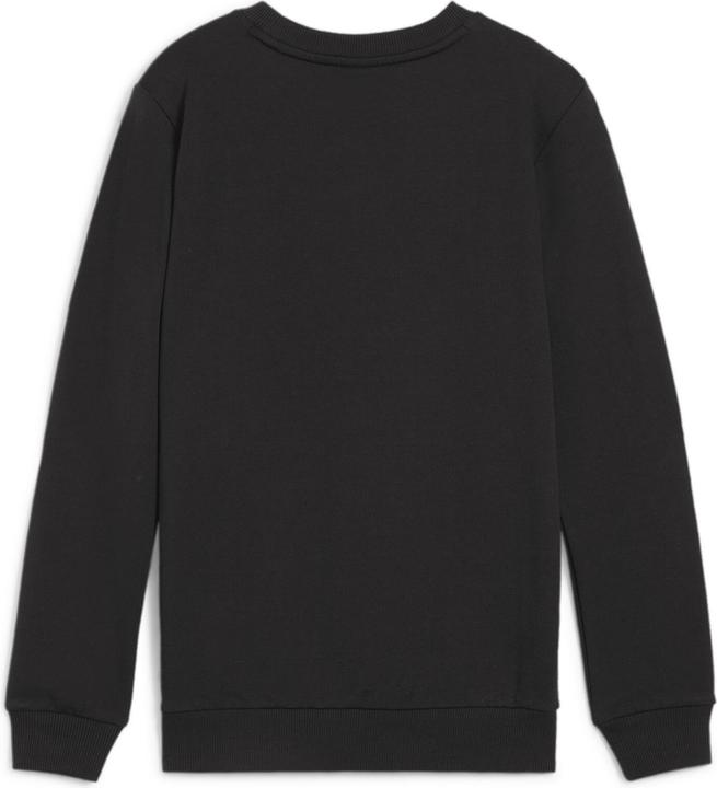 Immagine prodotto Puma teamGOAL Casuals Felpa girocollo Jr (128)