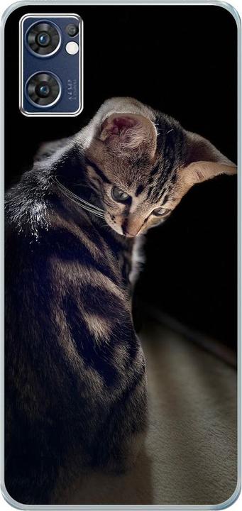 Junge Katze