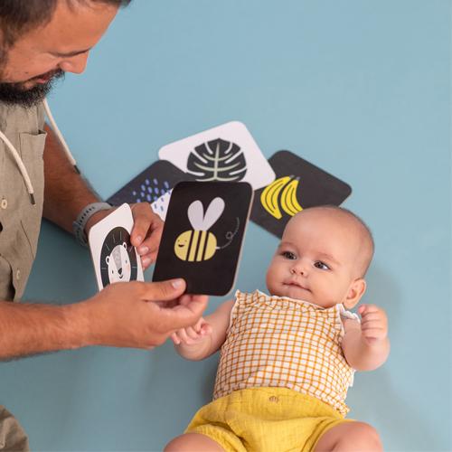 Image du produit Taf Toys Mes premières cartes de jeu