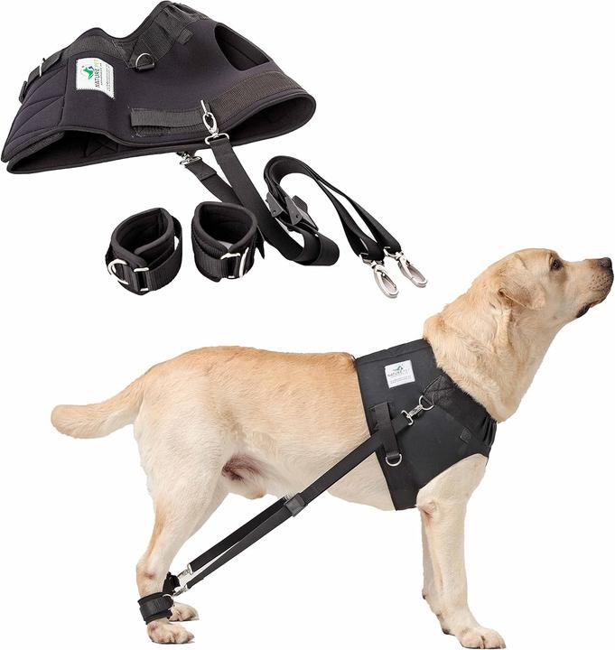 Produktbild Nature Pet Brust-, Reha- & Trainingsgeschirr für Hunde mit Gelenkproblemen (XS, Hund)