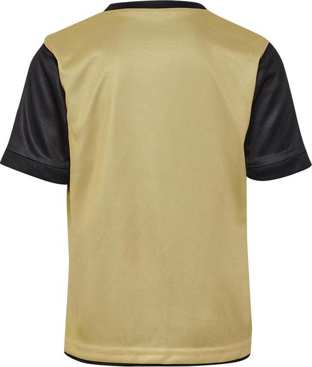 Actual product image hummel hmlE24C REVERSIBLE POLY TEE KIDS (116)