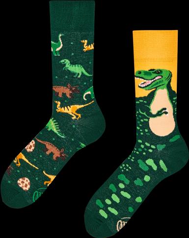 Many Mornings The Dinosaurus