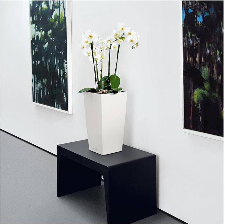 Actual product image Lechuza Classico Color (27.50 cm)