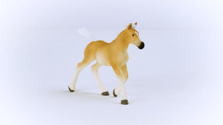 Produktbild Schleich Haflinger Fohlen