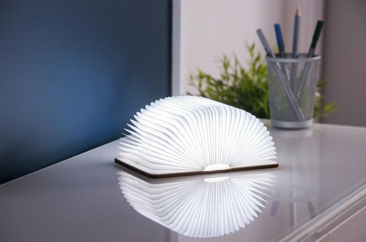 Actual product image Gingko smart book