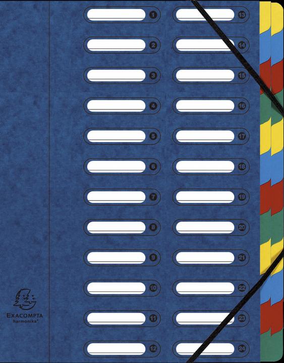 Exacompta Folders (A4, 1 x)
