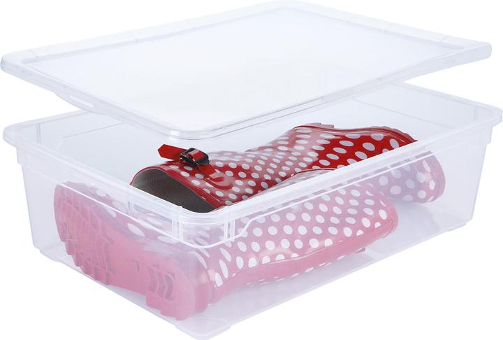 Immagine prodotto Rotho Cancella (55 x 37,5 x 16 cm, 22 l)