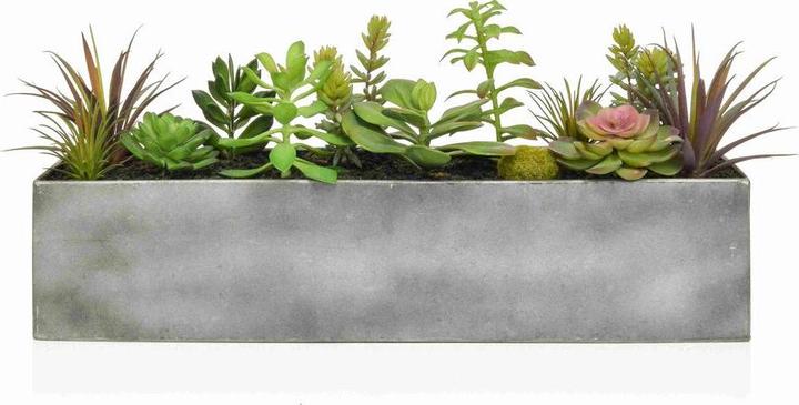 Actual product image Botanic-Haus Kunstpflanze Sukkulent-bepfl.im Stahltrog 50 cm (50 cm)