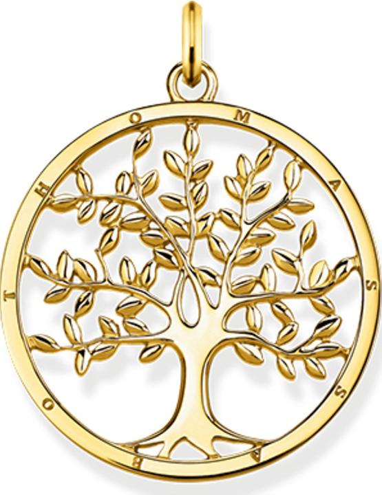 Immagine prodotto Thomas Sabo Trailer (Argento 925)