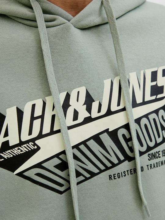Actual product image Jack & Jones JJELOGO SWEAT HOOD 2 COL 25/26 NOOS (M)