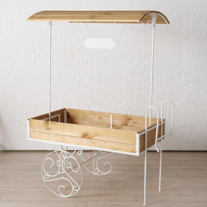 Actual product image Boltze Home Mercado