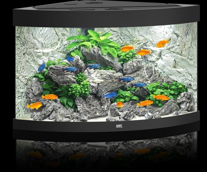 Image du produit Juwel Aquarium Aquarium Trigon 190 98.5x59.5x70cm noir (190 l)