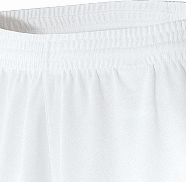 Actual product image Erima CELTA Short (164)