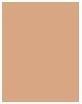Image du produit Sensai Cellular Performance Total Finish Refill (TF13 Beige chaud)