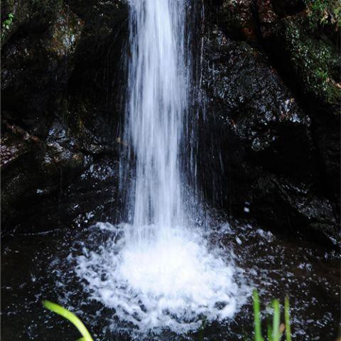 Actual product image Marumi ND8 series DHG (67 mm, Neutral density filter, 67 mm)