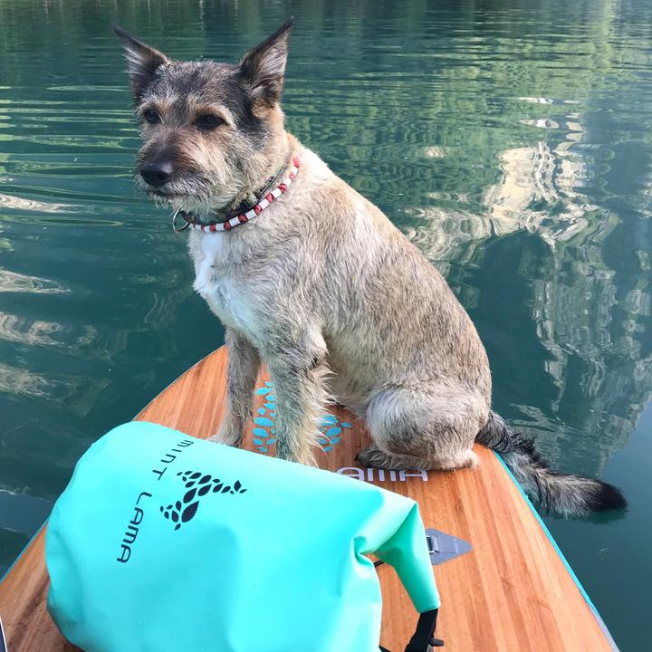 Actual product image Mint Lama Dry Bag (10 l)