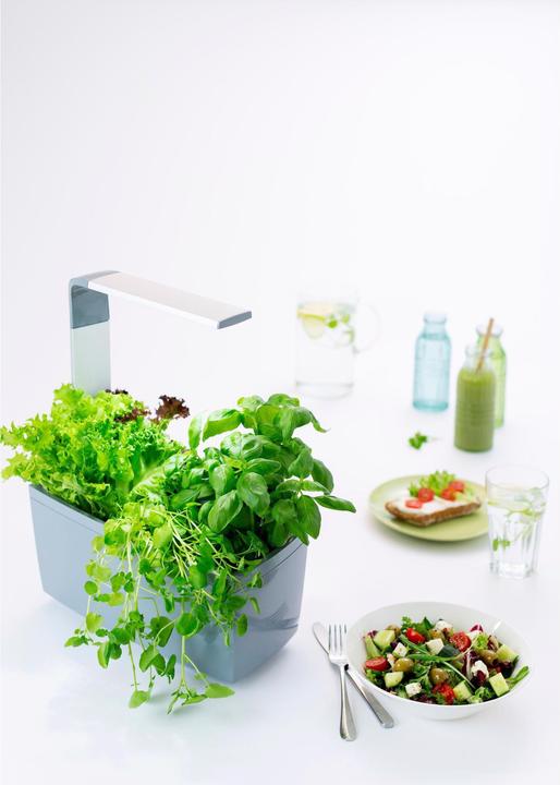 Image du produit Tregren T6 Potager (17.50 cm)