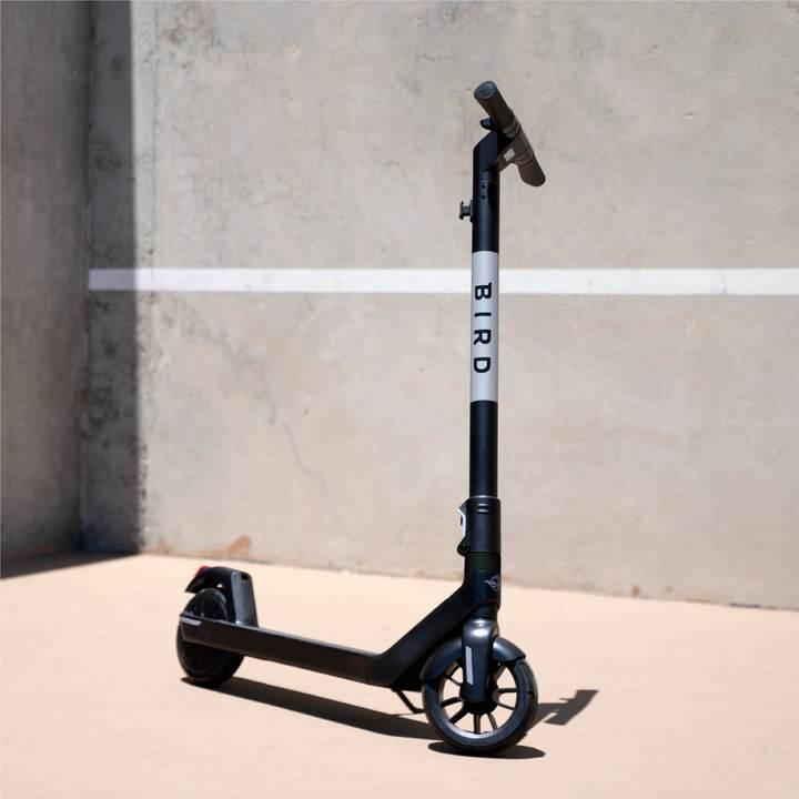 Image du produit Bird Air (25 km/h, 20 km, 250 W)
