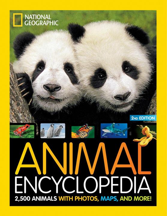 Produktbild National Geographic Animal Encyclopedia (Angela Modany, Englisch)