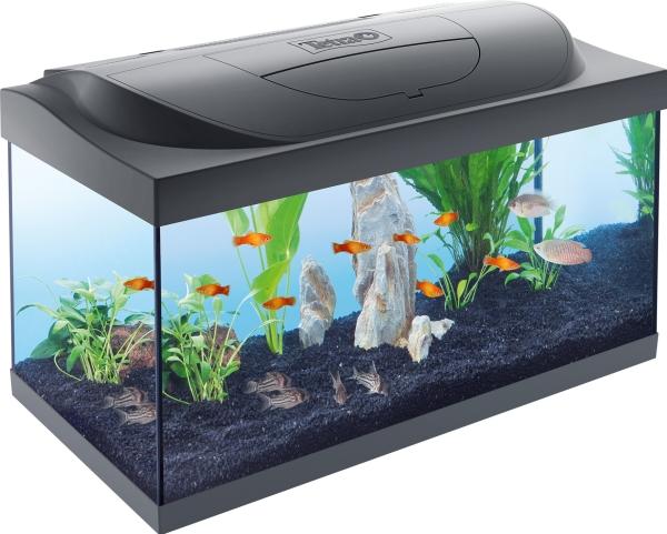 Productafbeelding Tetra StarterLine LED 54L (LED, 10 W)